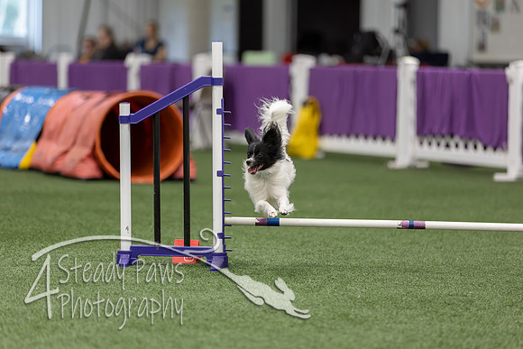RookieICEJumping2026553
