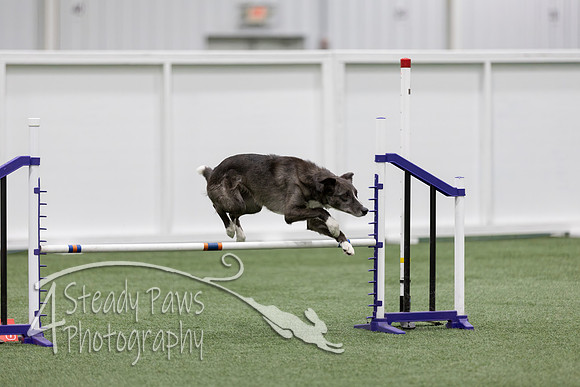 RookieICEJumping2026558