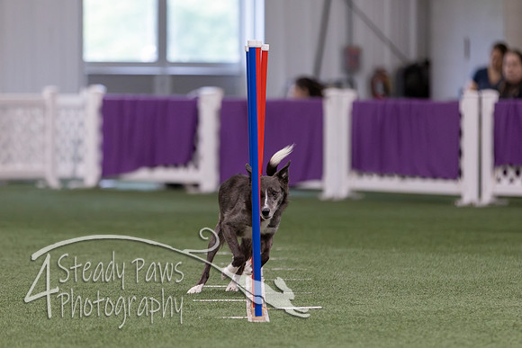 RookieICEJumping2026562