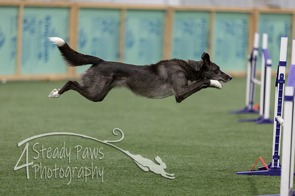 RookieICEJumping2026559