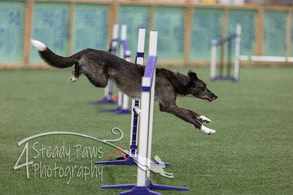 RookieICEJumping2026560