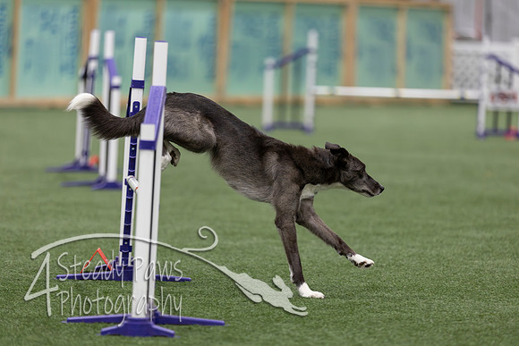 RookieICEJumping2026561