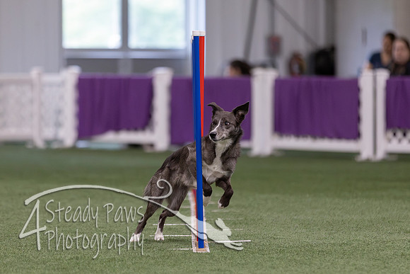 RookieICEJumping2026565