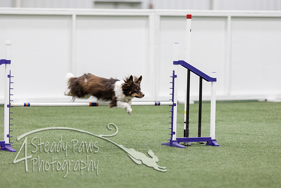 RookieICEJumping2026569