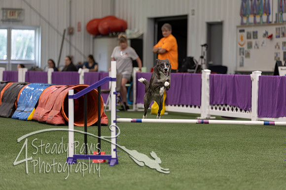 RookieICEJumping2026568