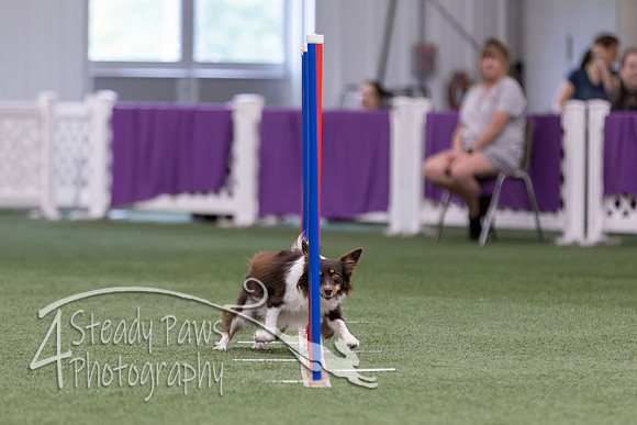 RookieICEJumping2026575