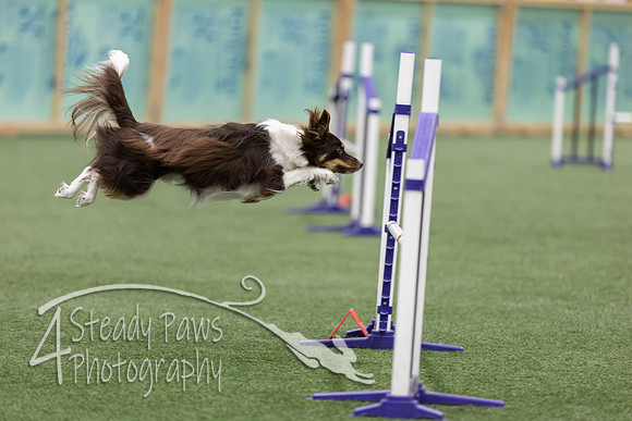 RookieICEJumping2026572