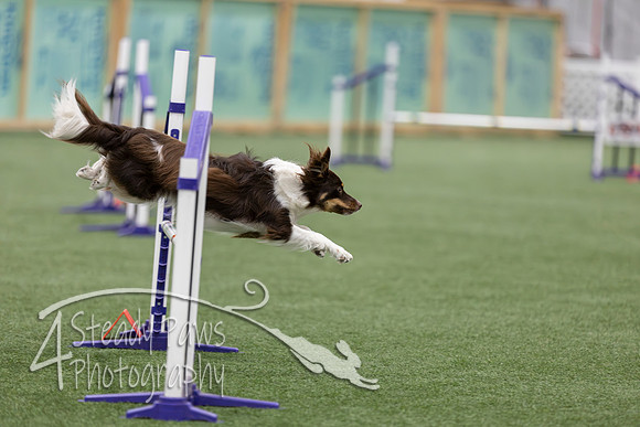 RookieICEJumping2026573