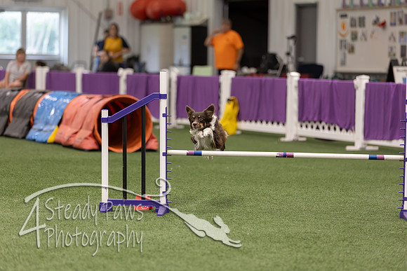 RookieICEJumping2026583