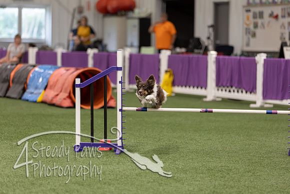 RookieICEJumping2026584