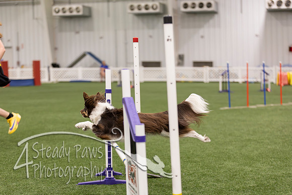 RookieICEJumping2026586