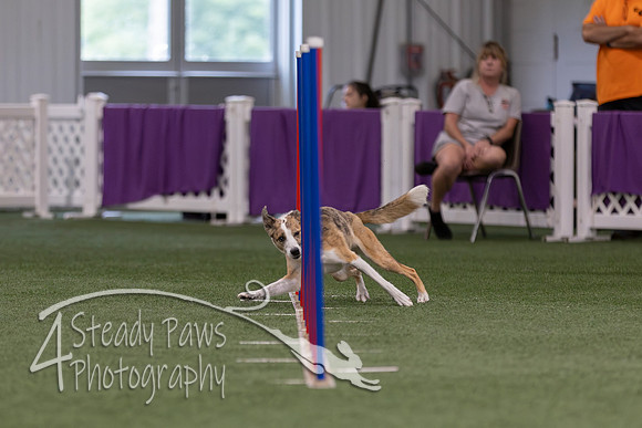 RookieICEJumping2026591