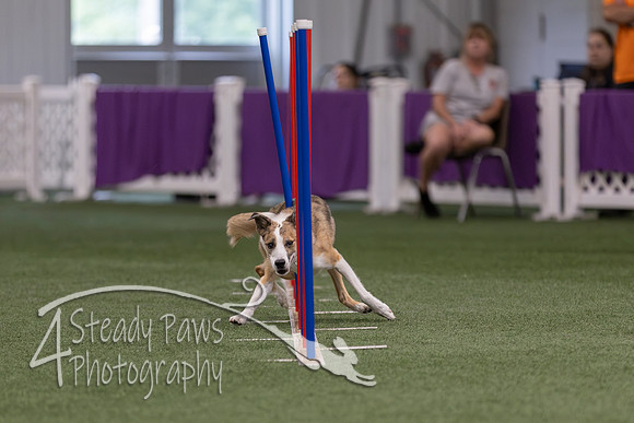 RookieICEJumping2026593