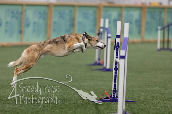 RookieICEJumping2026590