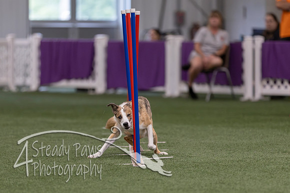 RookieICEJumping2026596