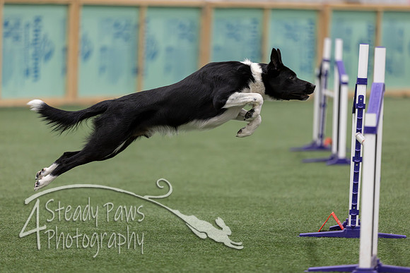 RookieICEJumping2026603