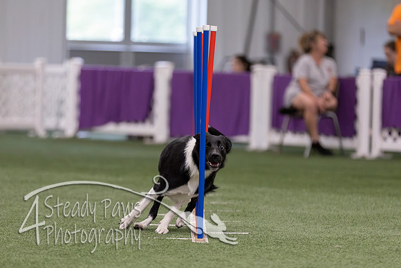 RookieICEJumping2026608