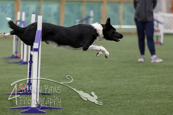 RookieICEJumping2026605