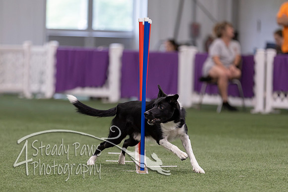 RookieICEJumping2026609