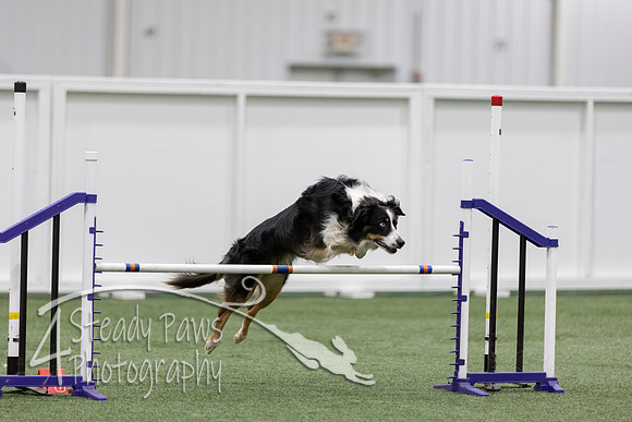 RookieICEJumping2026618