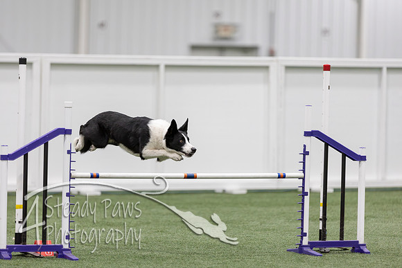 RookieICEJumping2026632