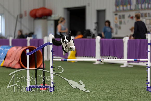 RookieICEJumping2026647