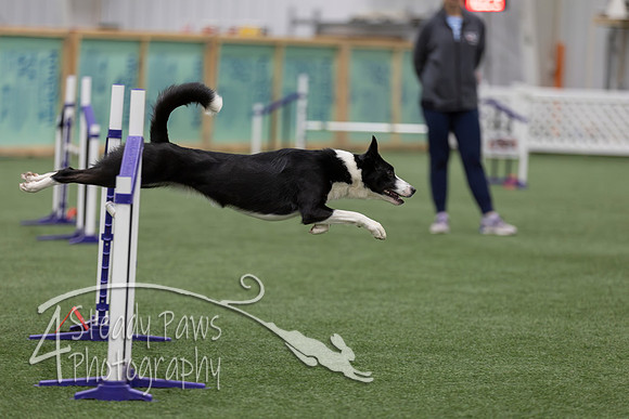 RookieICEJumping2026654