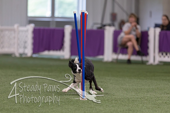 RookieICEJumping2026657