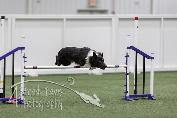 RookieICEJumping2026668