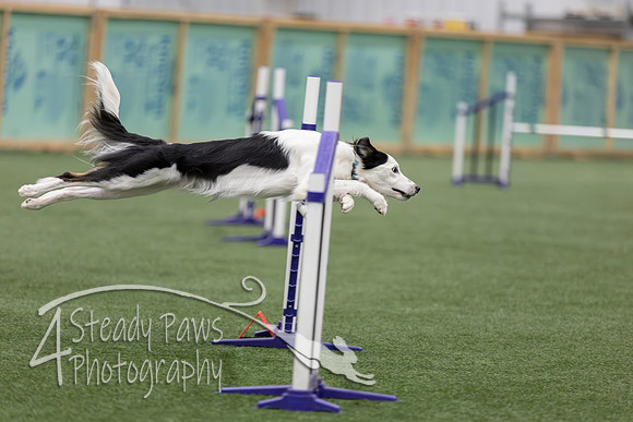 RookieICEJumping2026675