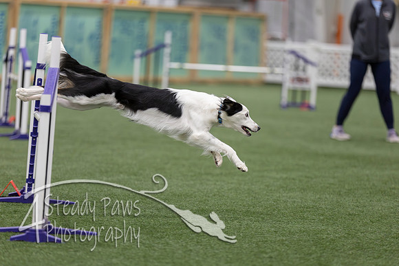 RookieICEJumping2026677