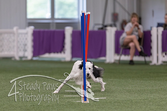 RookieICEJumping2026683