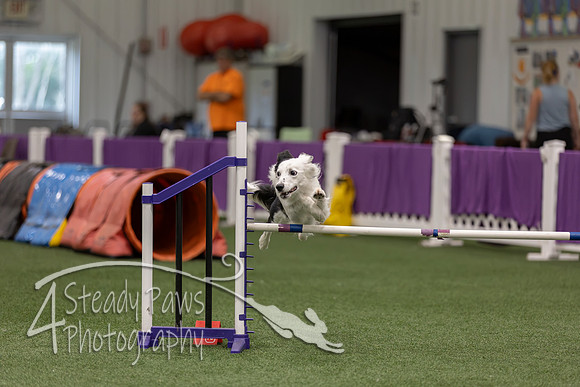 RookieICEJumping2026688