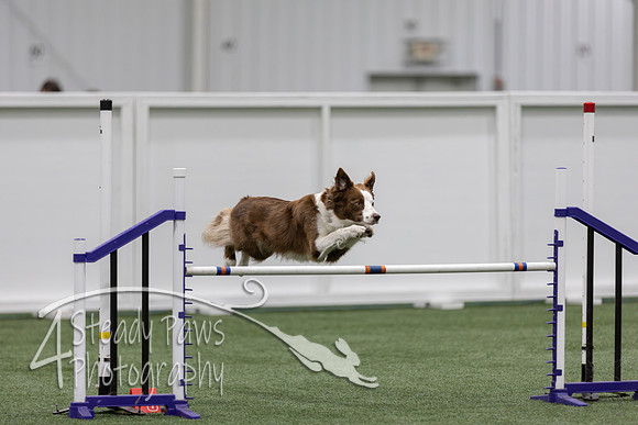 RookieICEJumping2026692