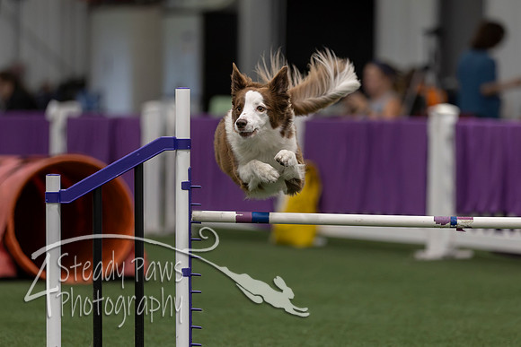 RookieICEJumping2026708