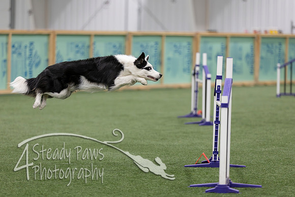 RookieICEJumping2026719