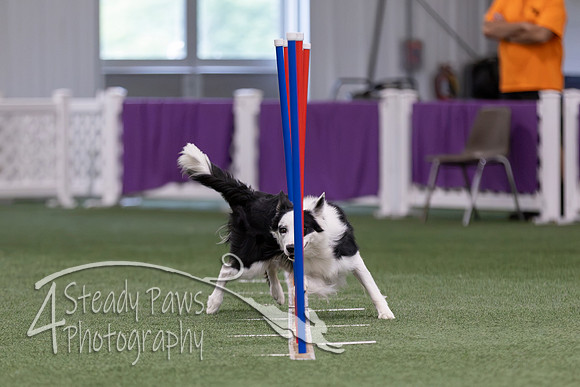 RookieICEJumping2026722