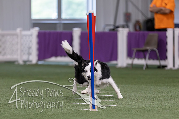 RookieICEJumping2026723