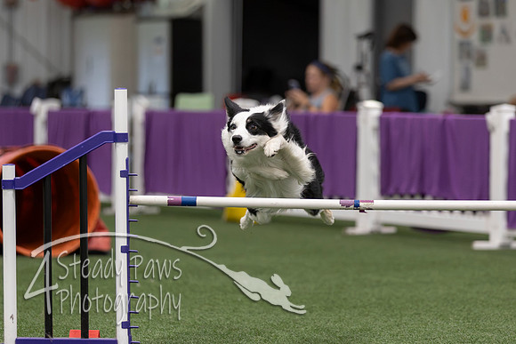 RookieICEJumping2026733