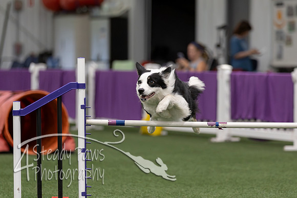 RookieICEJumping2026734