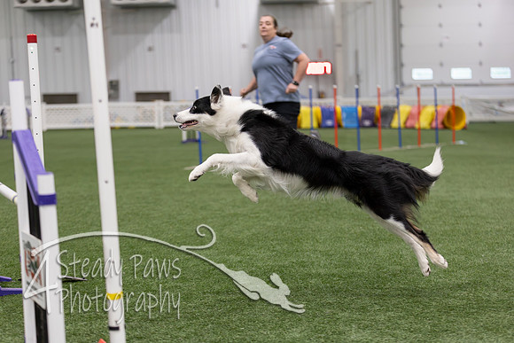 RookieICEJumping2026736