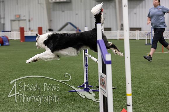 RookieICEJumping2026738