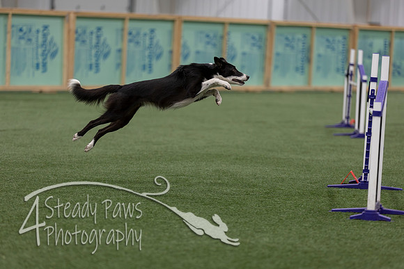 RookieICEJumping2026741