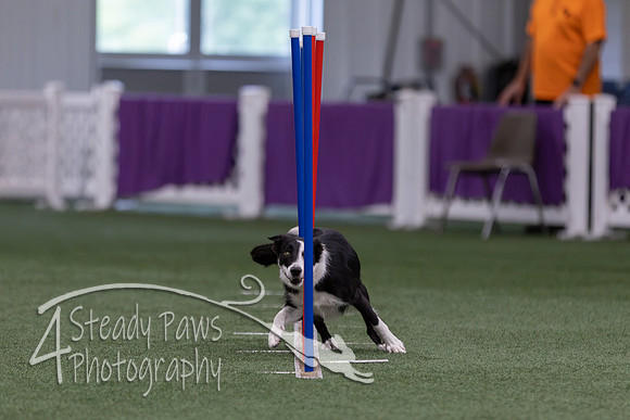 RookieICEJumping2026748