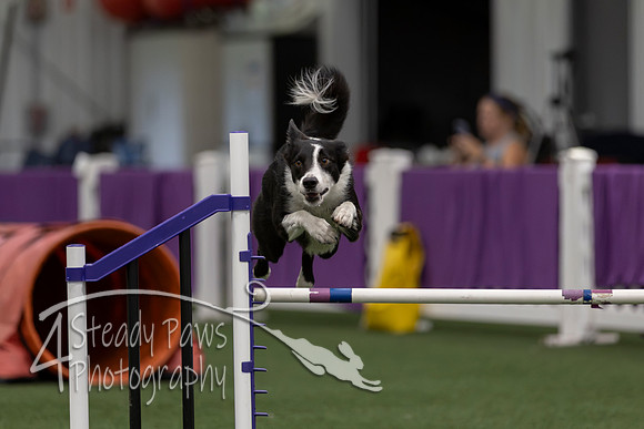 RookieICEJumping2026754