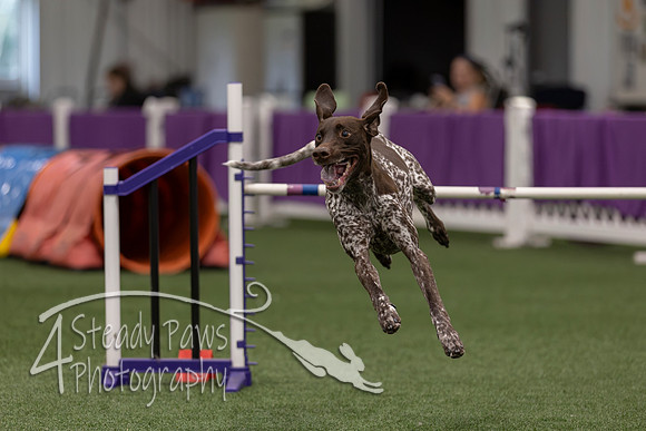 RookieICEJumping2026771
