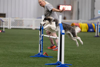 RookieICEJumping202602