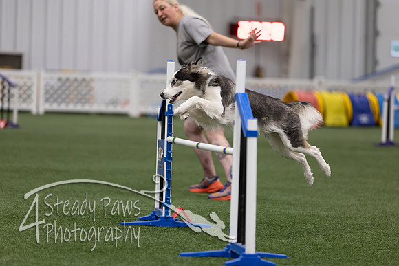 RookieICEJumping202602