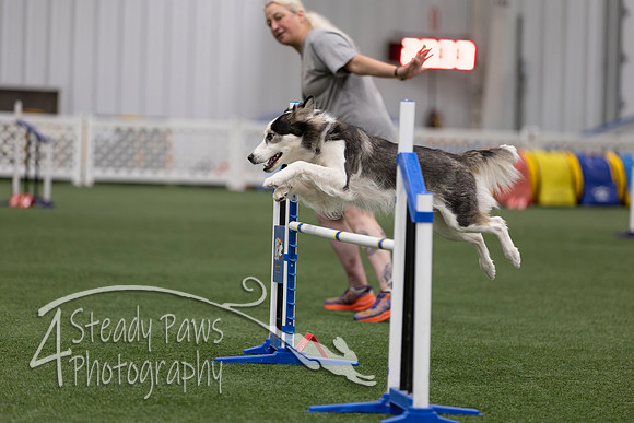 RookieICEJumping202603