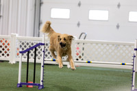 RookieICEAgility202609